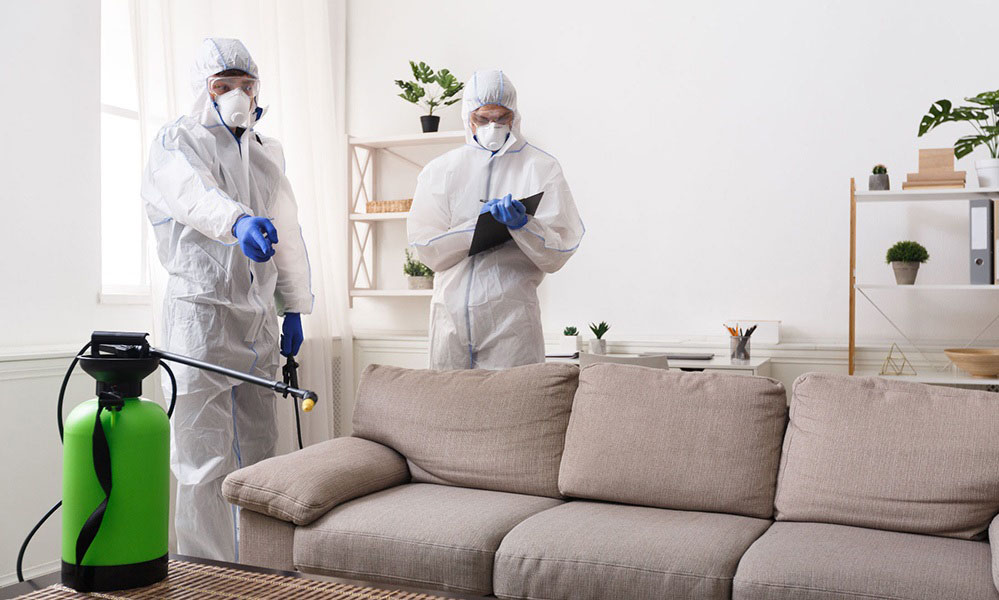 Getting Your Home Disinfected? Useful Tips to Find a Professional