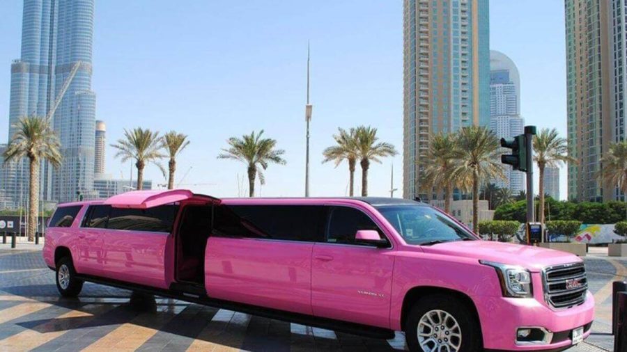 Cultural Sensitivity and Customer Service in Dubai’s Limousine Industry Ensuring Safety and Comfort radiovok.com